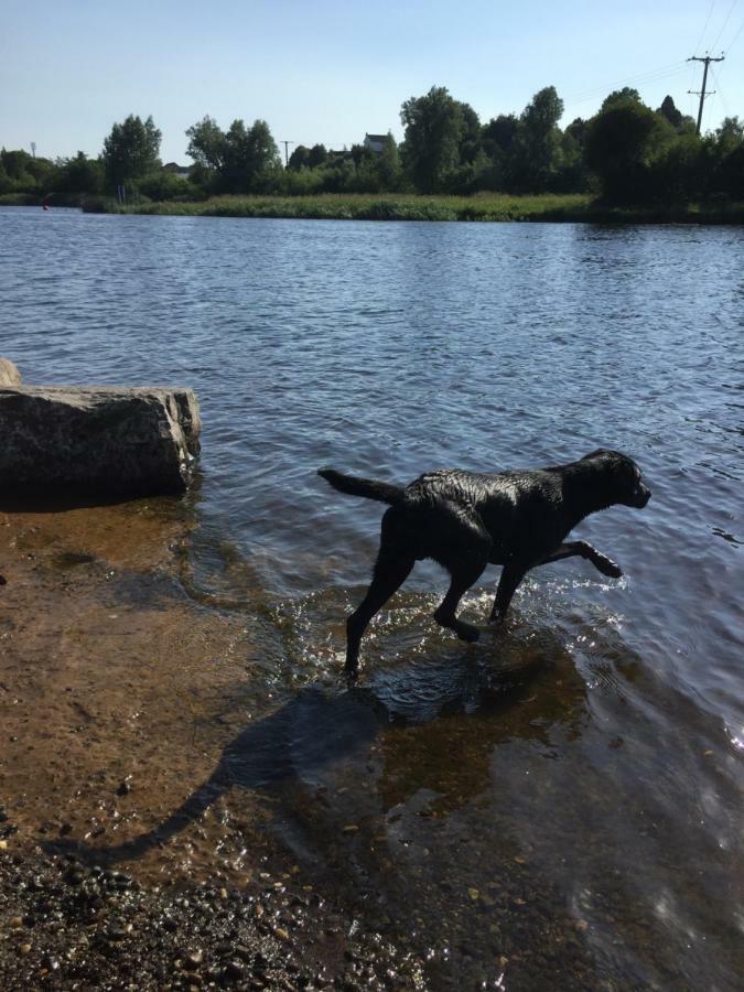 Shore Road Enniskillen Luaran gambar